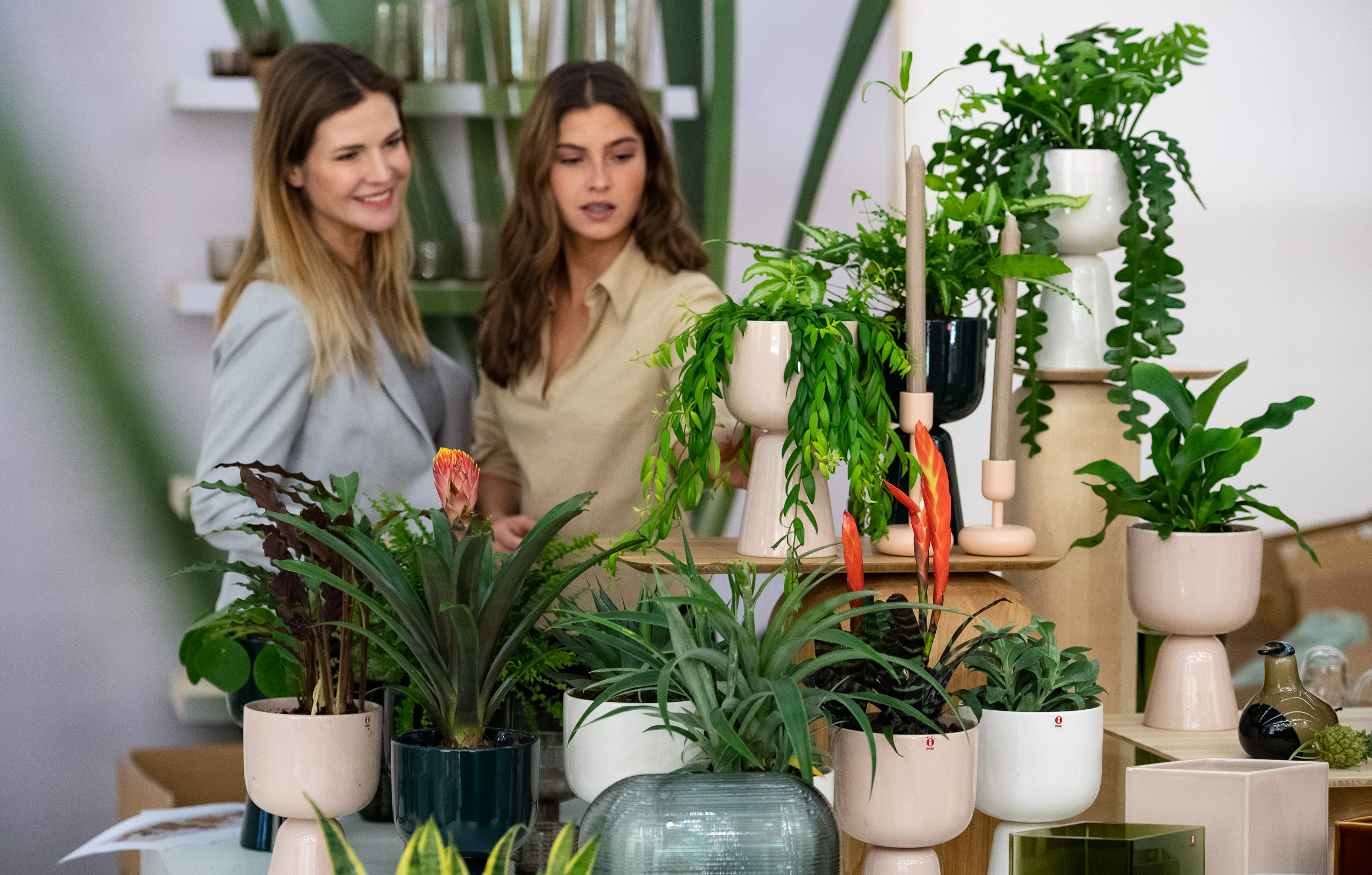 ambiente 2019