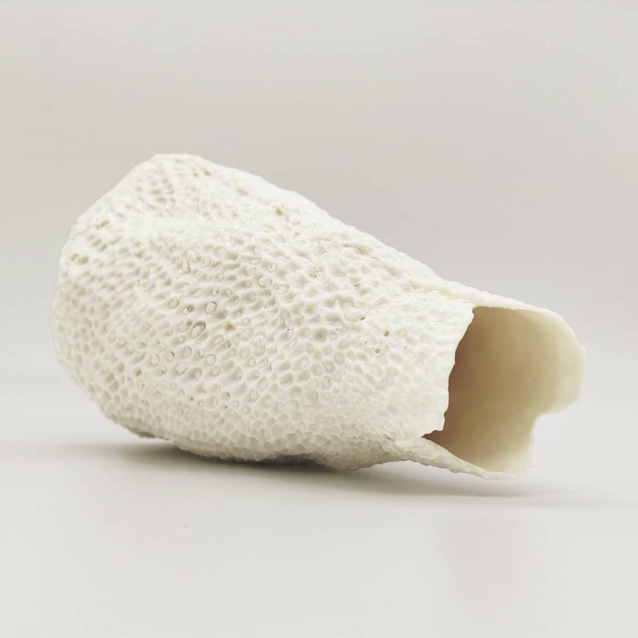 Arndt: The porcelain vases "Pieces of Nature" with shell surface allow a unique visual and at the same time haptic experience.