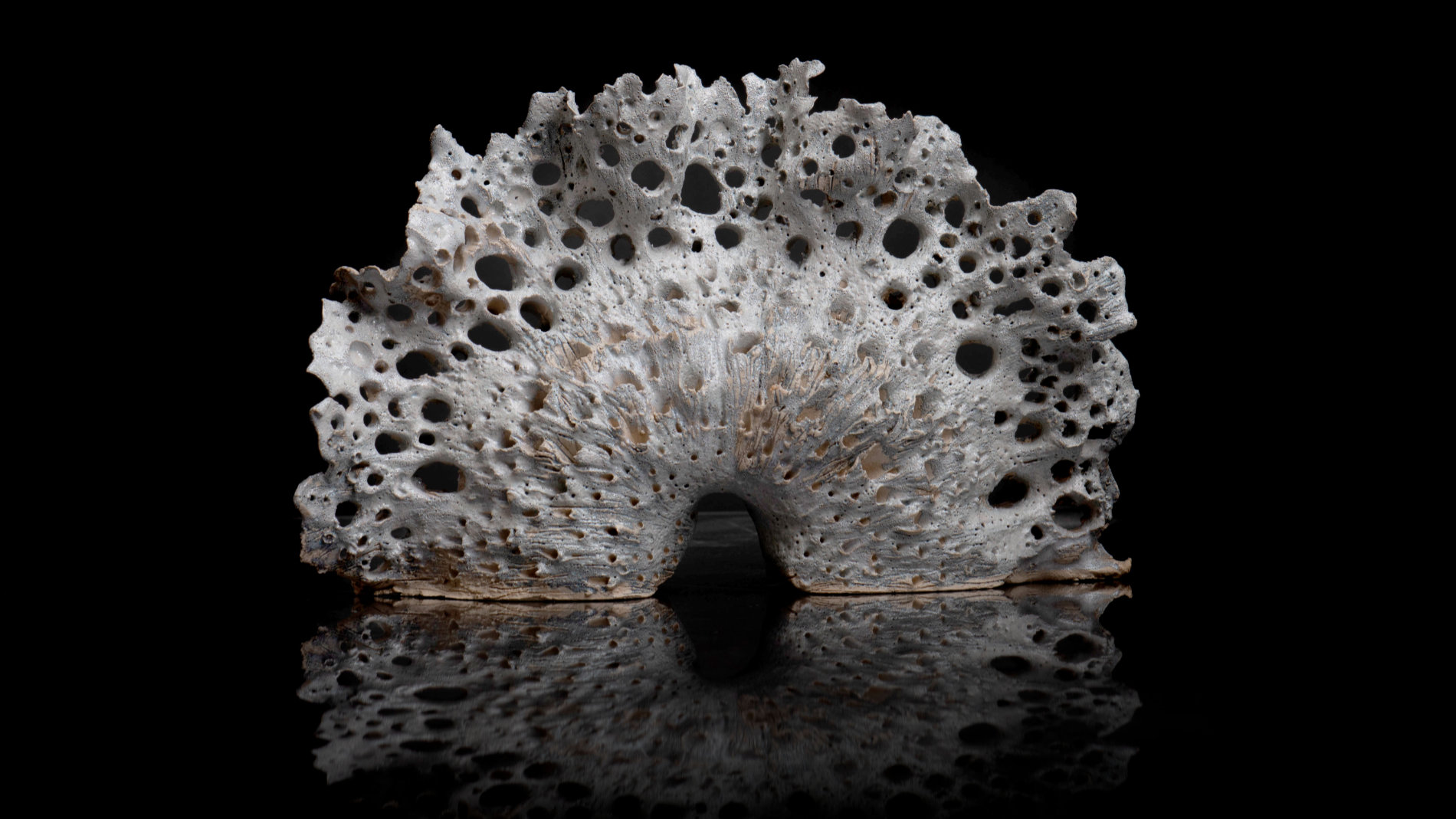 Arndt: „Fluktuation“ reminds us of the sea, of the multi-faceted coral structures