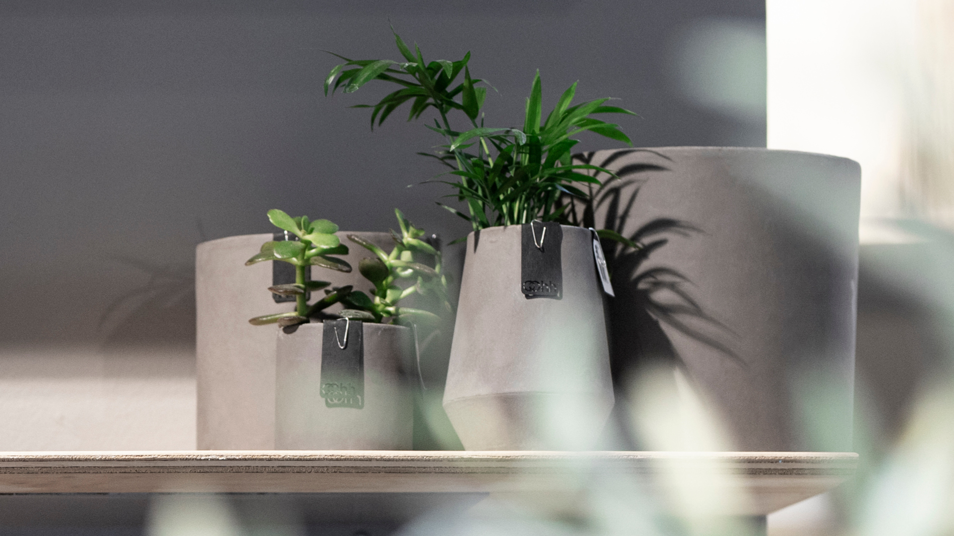 Contract Business: Vases at Ambiente